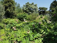 -国家植物园南园