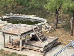 -石家庄市动物园