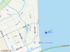 -南汇新城海滩