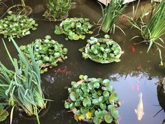 -聚缘堂·海鲜私房菜(松岭路店)