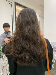 -YESIDO椰岛造型