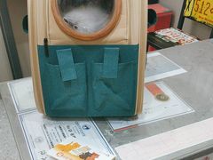 -四月宠物医院·猫专科·心脏专科·内科(转塘店)