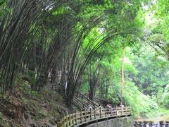 -凤栖山