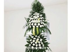 -孝善殡葬一条龙(嘉定店)