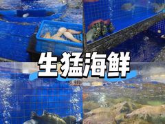 -聚彩居三和酒楼•老字号粤菜(南城店)