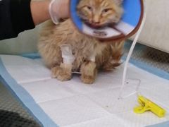 -天津前进宠物医院(前进道店)