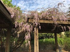 -白塘生态植物园