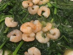 虾仁菠菜-鹤乡东北菜(崮山路店)