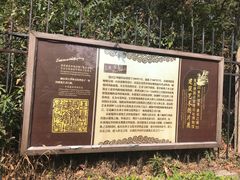 -青岛德国总督楼旧址博物馆