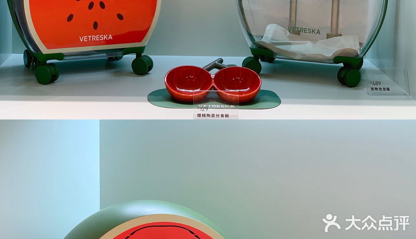 撸猫胜地🌵利路修同款未卡猫空间