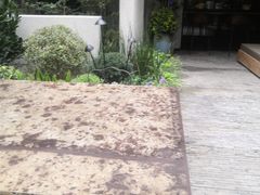 -T館·花园艺术餐厅