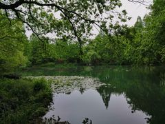 -西湖外事游船(花港观鱼码头)