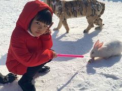 -绿野森林乐园冰雪季