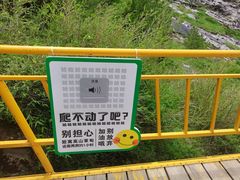 -朱雀国家森林公园