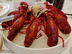 -新雅粤菜馆(南京东路店)