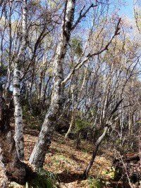 -白草畔自然风景区