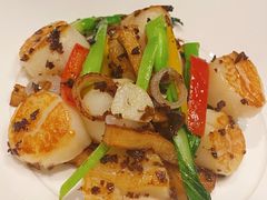 菜心黑鸡枞炒带子-采蝶轩(和义路店)