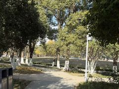 -昆山城市公园