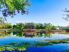 -隐炉和牛烧肉店(群力店)