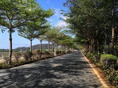 -亚龙湾国际玫瑰谷