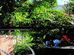 -丽泽山庄·生态怀柔菜·虹鳟鱼(红螺寺店)