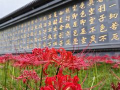 -西安大兴善寺