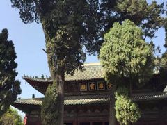 -窦圌山风景区
