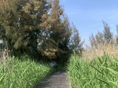 -漩门湾国家湿地公园