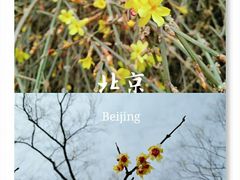 -北海公园