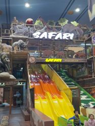-卡通尼·Safari非洲探索乐园·生日会(金桥国际商业广场店)