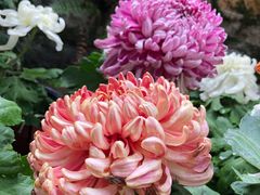 景点-无锡惠山寺