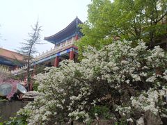 -大明幻境第一城