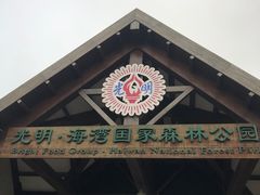 -上海海湾国家森林公园