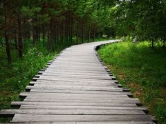 -北极村旅游风景区