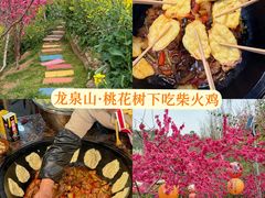 -桃源山庄·水蜜桃采摘·柴火鸡·烧烤团建(龙泉山店)