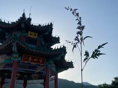 -北京西山国家森林公园