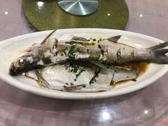 清蒸鲜白鱼-西新饭店(城中店)