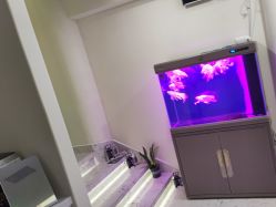 -海涛医疗美容·面部抗衰·注射美鼻