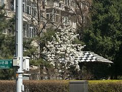 -炼健身私教工作室