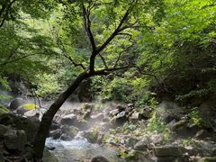 -红崖峡谷景区