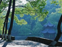 -忠山公园