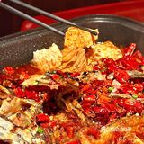 厦门这家烤鱼怎么都没人推？？太好吃了！