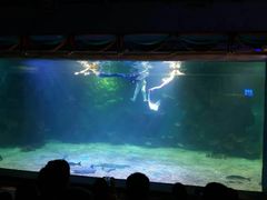 -石家庄海洋公园