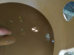 -100蛋泥浆浴