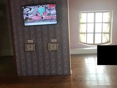 -金山农民画村-枫泾波兰倒置屋