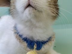 -怪兽屋·羊驼·猫咖·狗咖(俊华广场店)