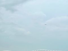 -澳门环岛游湾仔码头