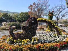 -上海大学(宝山校区)