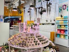 -KKV(深圳kk one 店)