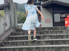 -大唐贡茶院